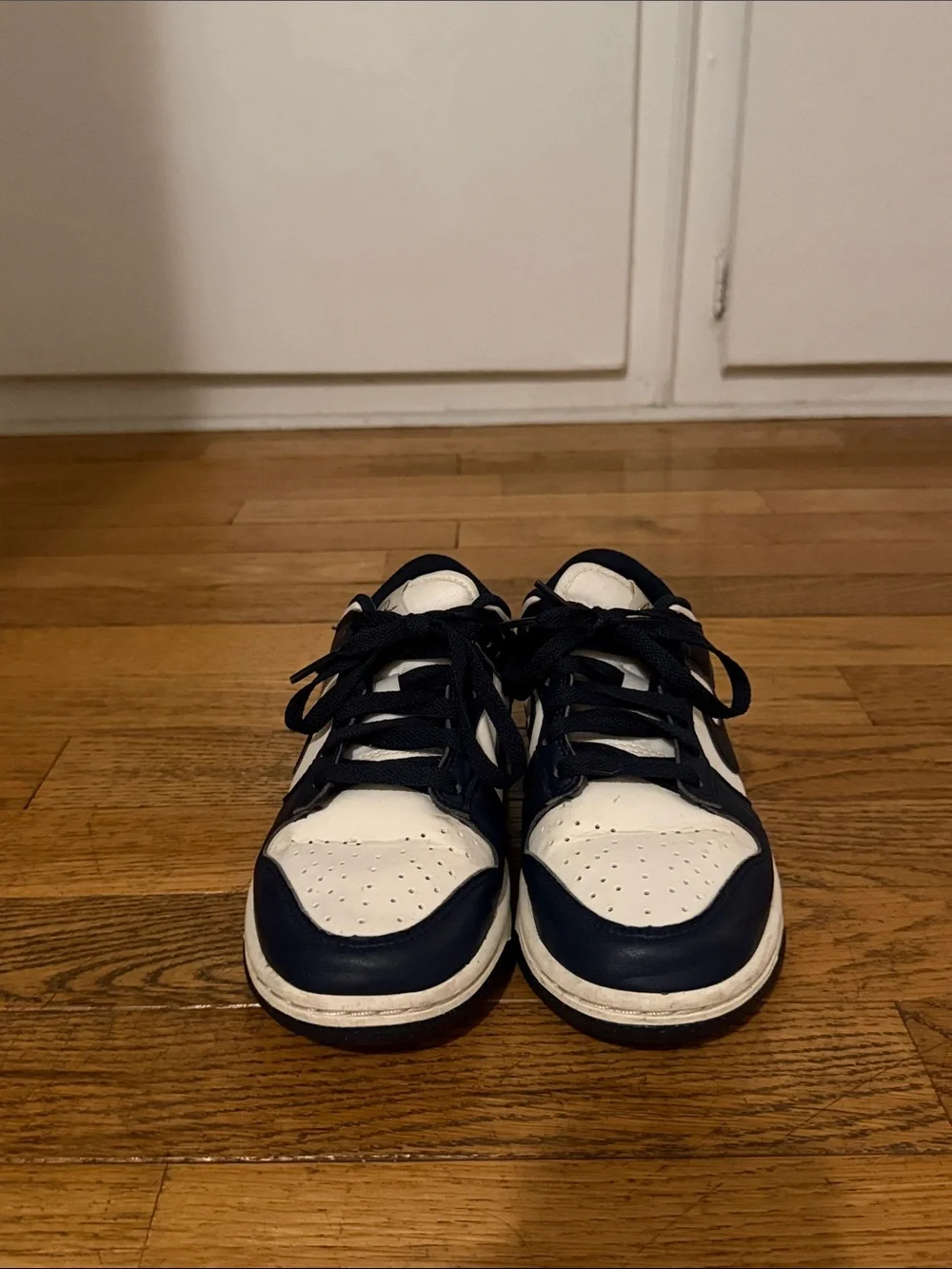 Navy Nike dunks